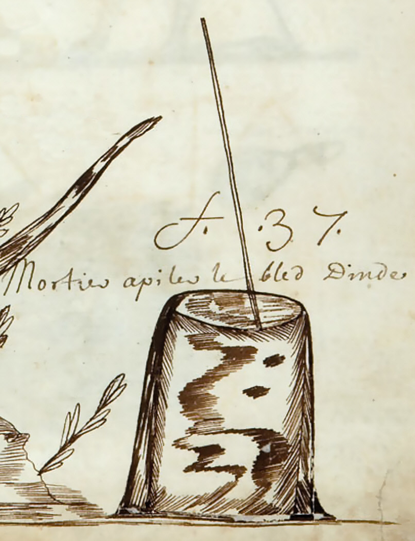Mortar for pounding corn, Codex Canadensis, Louis Nicolas 1675.