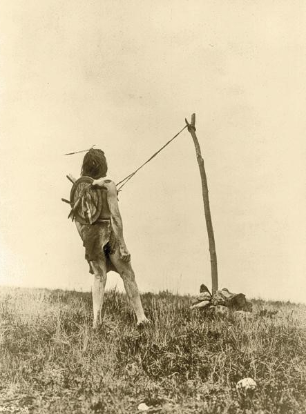 Crow (Apsaroke) man with strips of leather attached to his chest and tethered to a pole participating in the piercing ritual of the Sun Dance that lasted at least four days