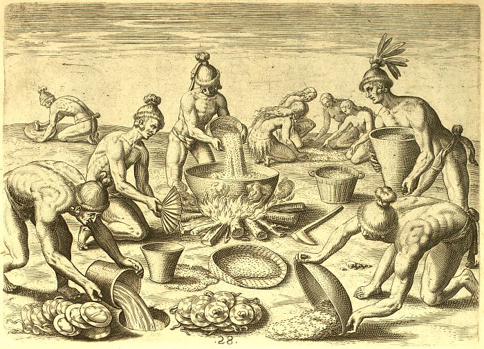Préparatifs de sagamité pour un festin Timucua, 1565