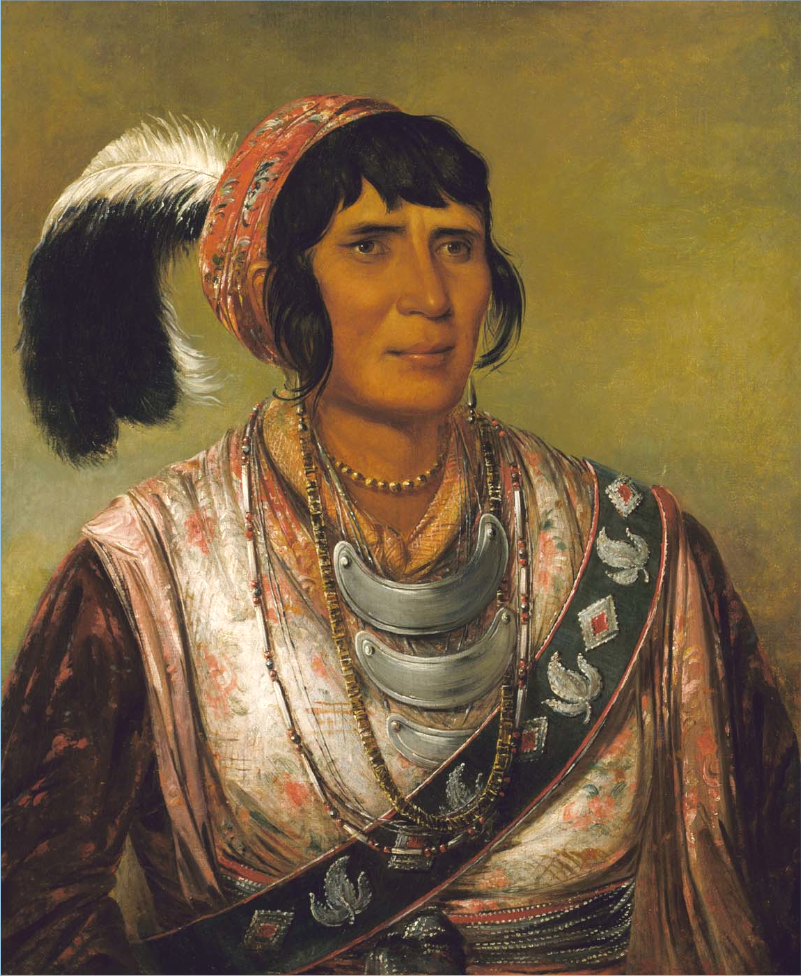 Osceola, The Black Drinker Warrior of Great Distinction, George Catlin, Smithsonian American Art Museum