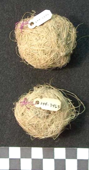 Puebloans Ancestraux, sachets de yucca remplis de tabac, datant de 1200 ans, découverts à Antelope Cave, en Arizona.
