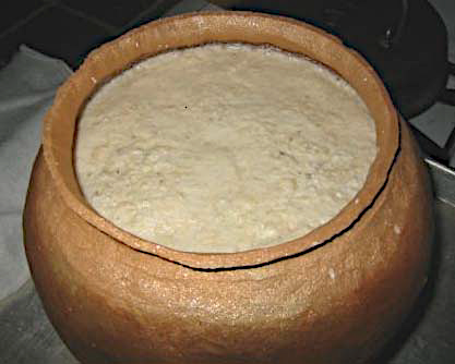 Experimental maize beer using a Tarahumara brewing process.
