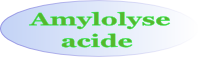 Hydrolyse de l'amidon par infusion acide