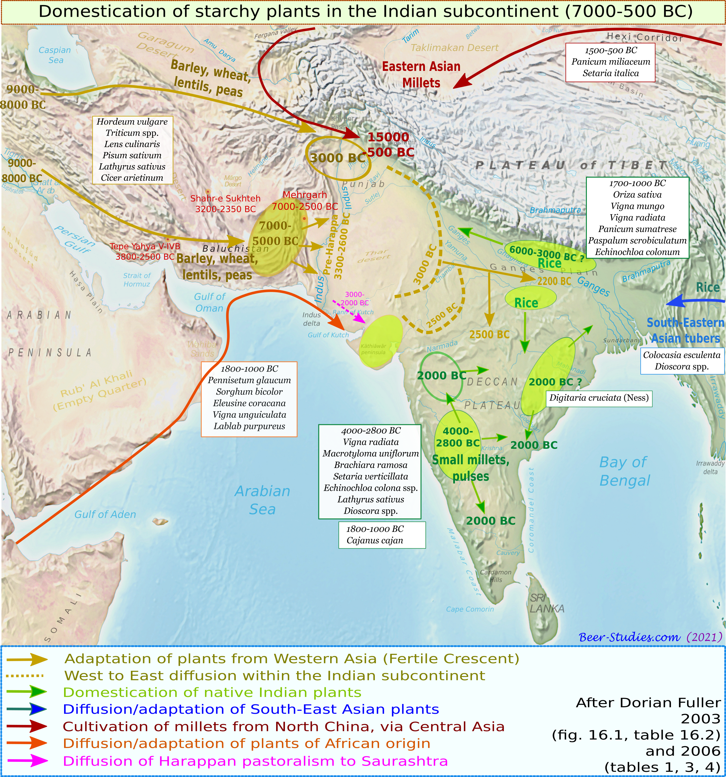 Domestication and diversity of starchy plants in the Indian subcontinent.