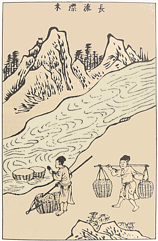 Chinese brewer washing fermented rice in pure river water -1637