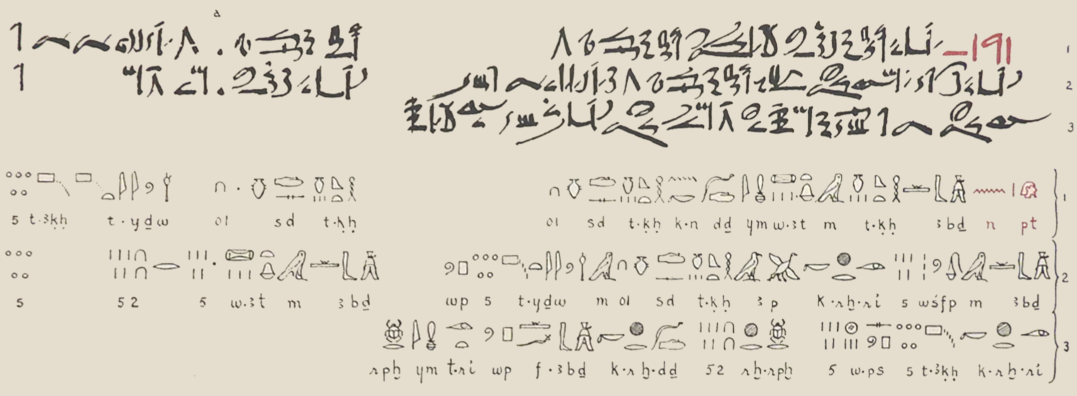Ahmès/Rhind papyrus, problème 77, hiératique et transcription (droite à gauche)