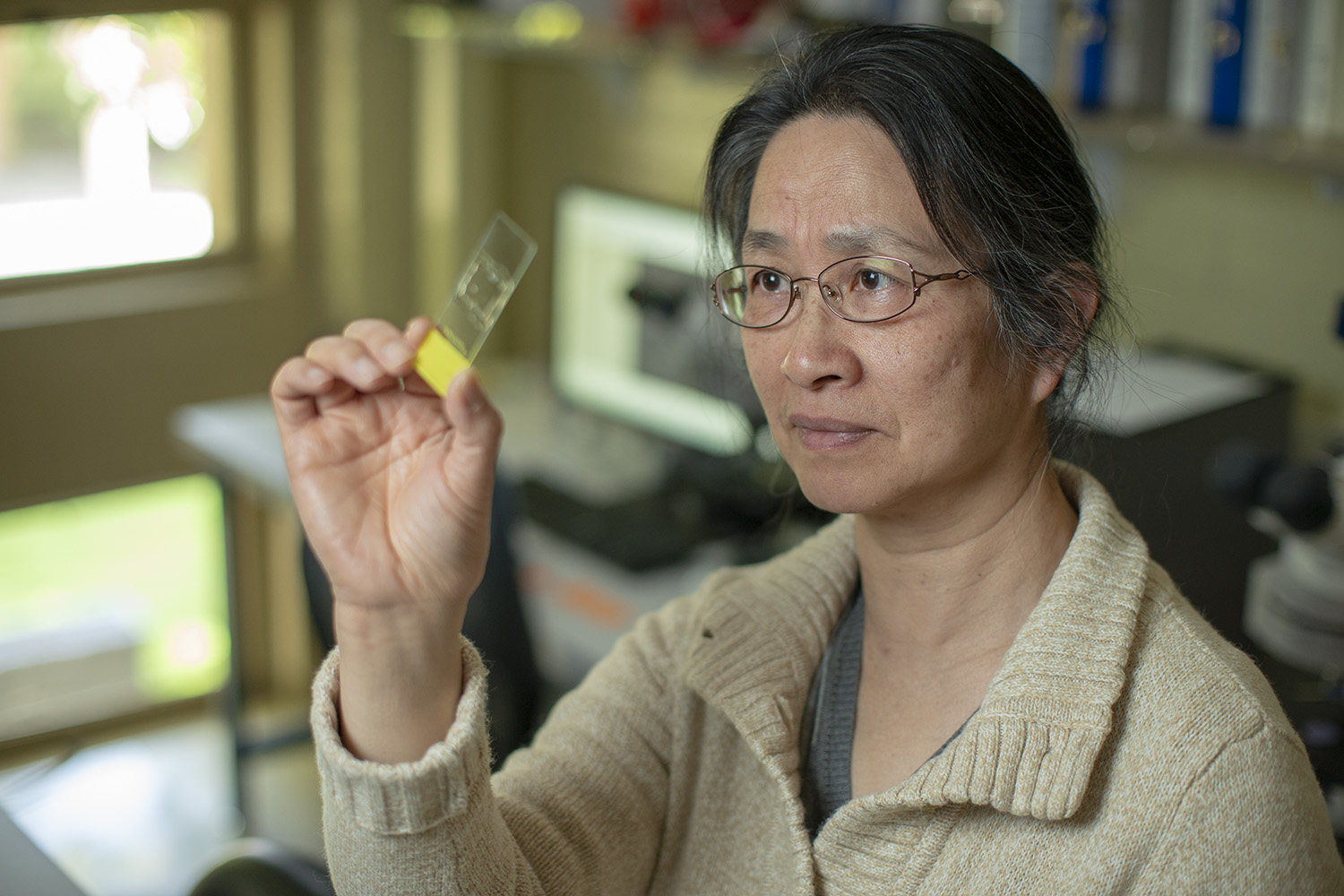 Raqefet under a microscope. Professor Li Liu finds and records germinated starch