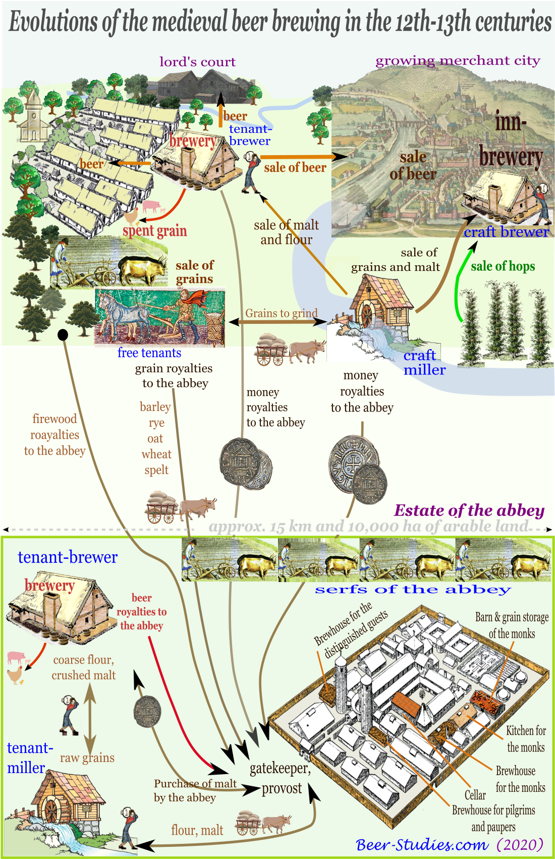 Economic organisation of the medieval brewery between several secular or abbot's estates between 1100 and 1300.
