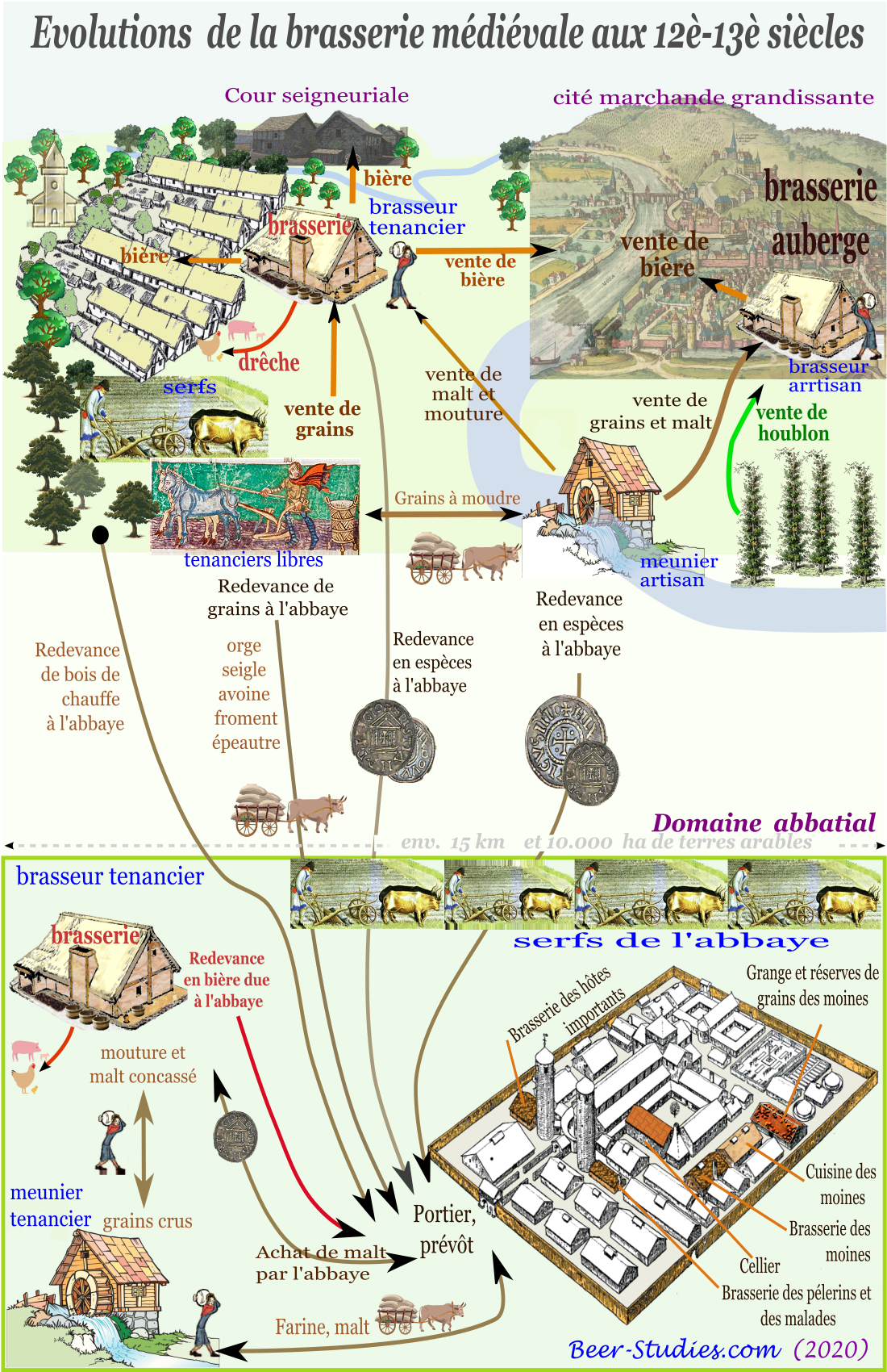 Organisation économique de la brasserie médiévale entre plusieurs domaines laïcs ou abbatiaux entre 1100 et 1300.