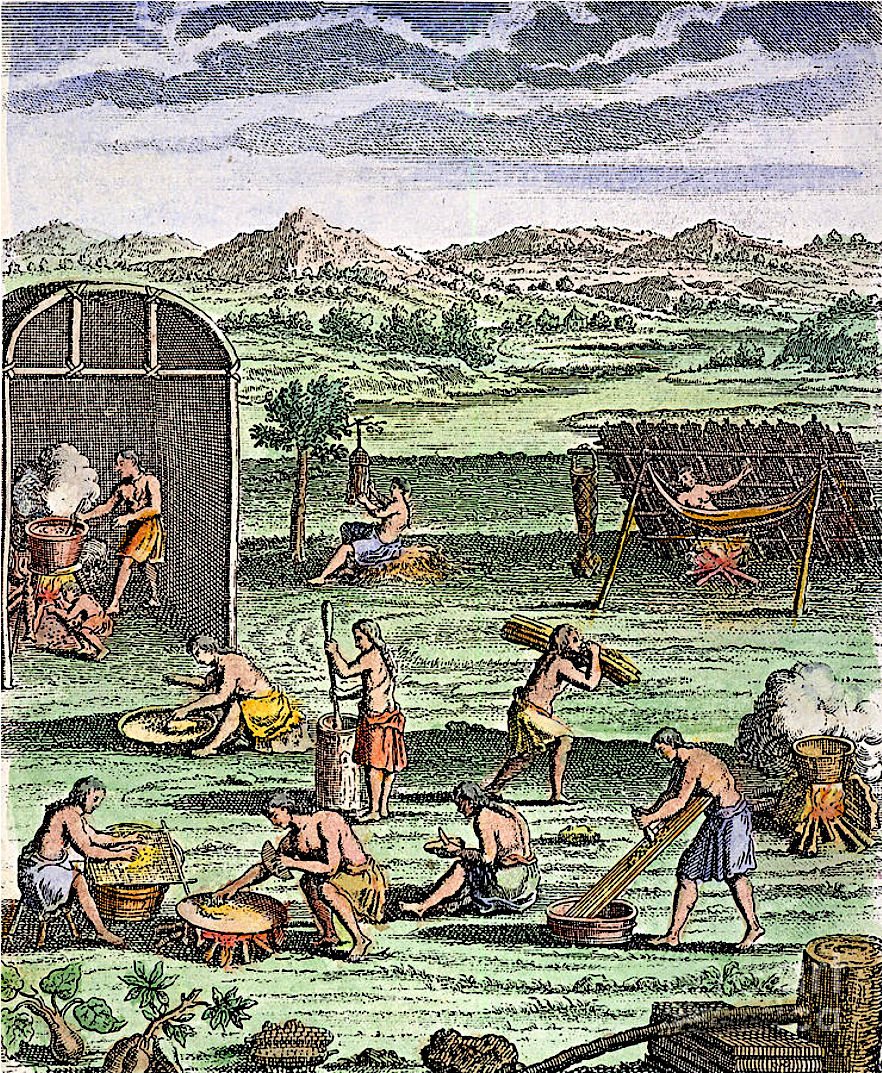 Village iroquois, gravure de 1664