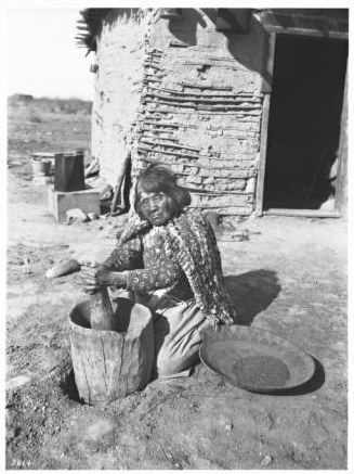 Mojave Indian woman pounding mesquite beans in a metate made from the stump of a tree ca 1900.