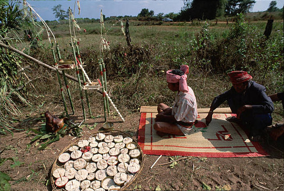 Mnong-gar. Offering of rice beer and loaves to ask for a good harvest