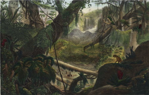 Vallée Da Serra do mar de Charles-Motte-1800