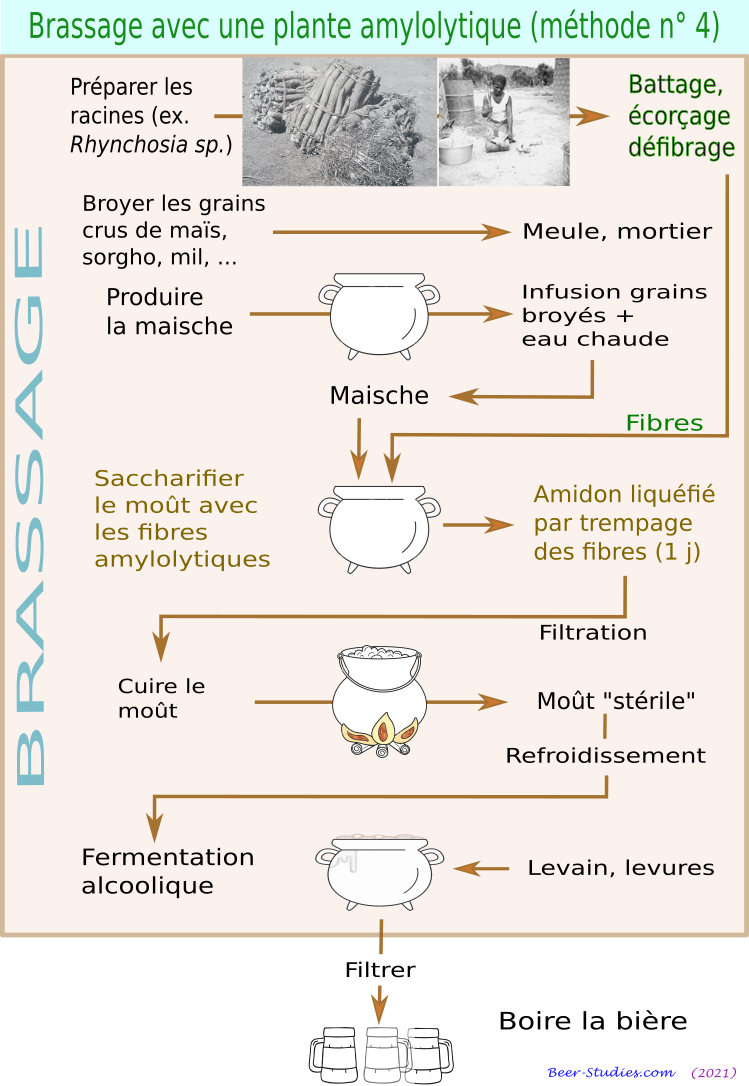 Brassage avec plante amylolytique (méthode n° 4)