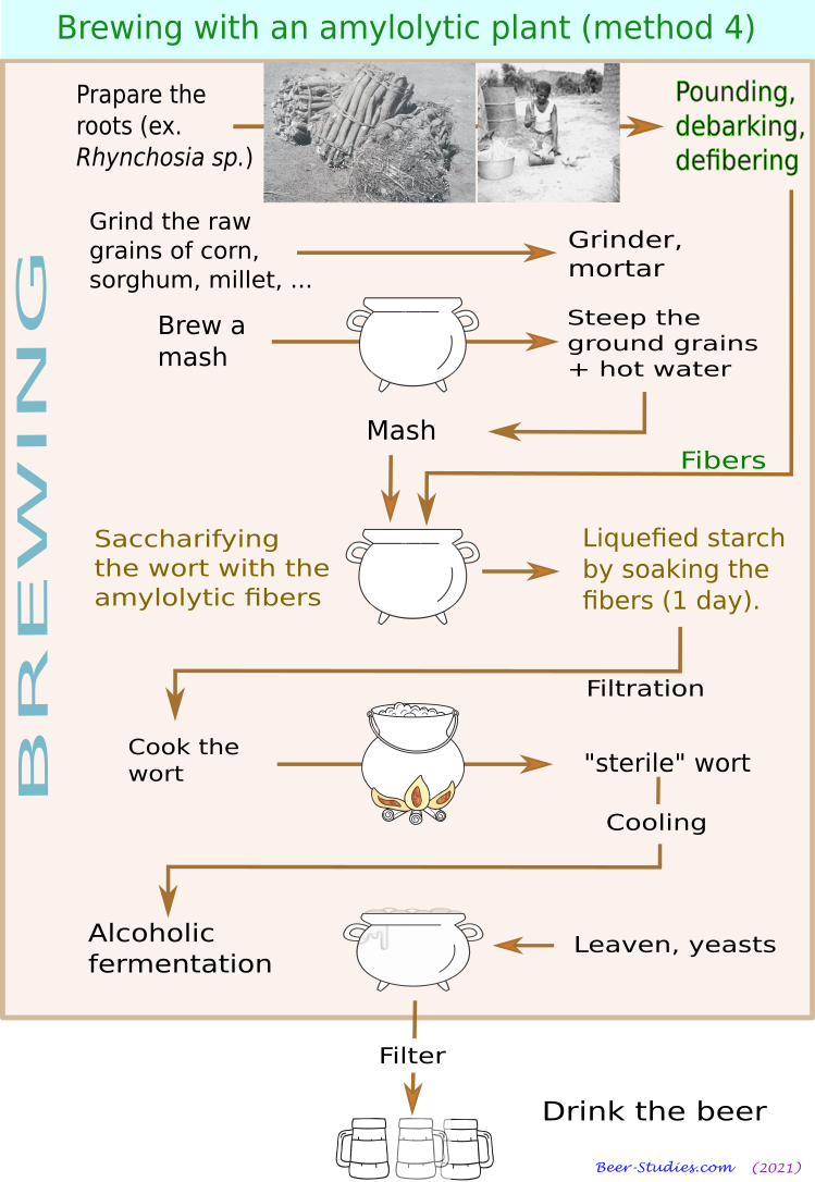 Brewing with amylolytic plants (method 4)