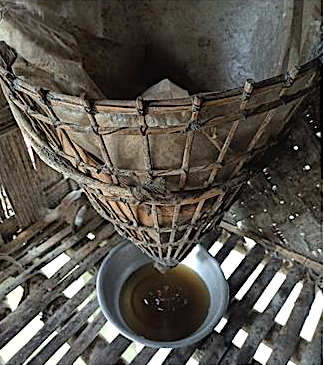 India, Assam. Apong rice mash filtered through a bamboo and paper filter (Missing people)