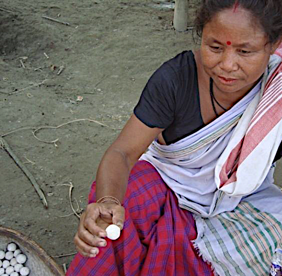 India Assam. Epop beer-starter from glutinous rice & various plants (Missing people)