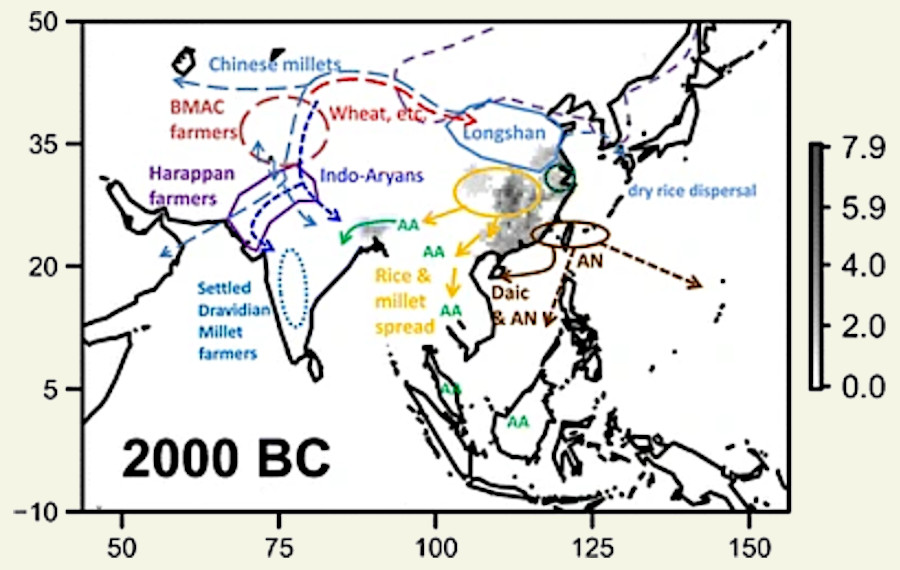 Origines et diffusion du riz et de sa culture vers 2000 BC